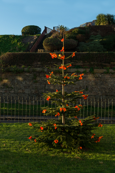 Christmas Tree at Martello Terrace
