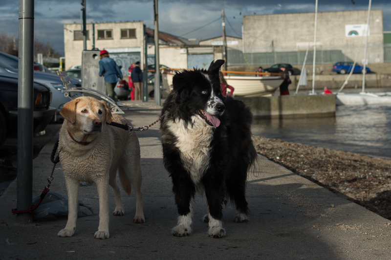 Two more observers....