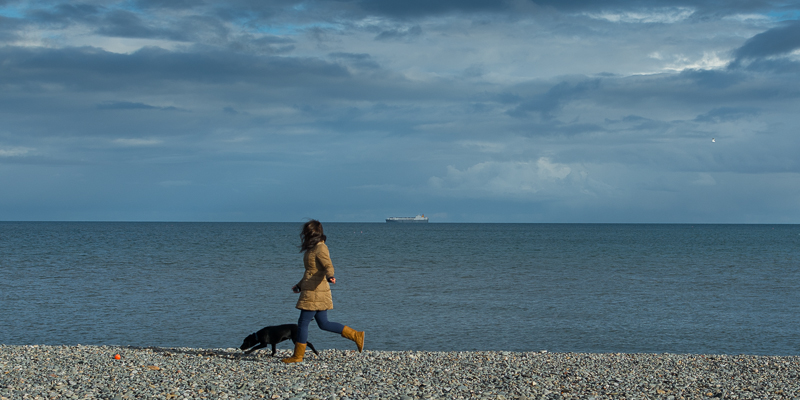 Seeking ... an orange ball.
