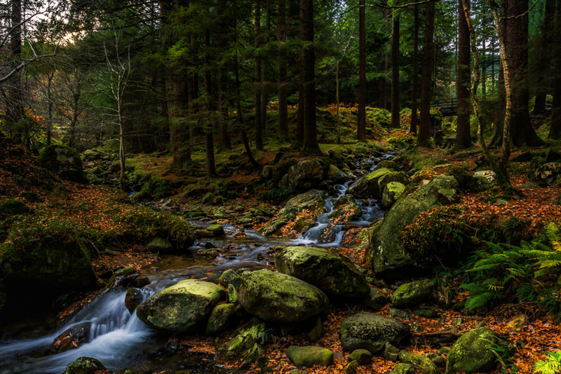 Poulanass River, Glendalough, Co. Wicklow