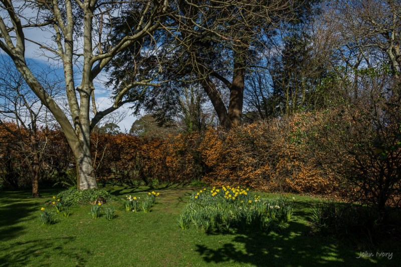 Mount Usher - 15-03-2014 #1