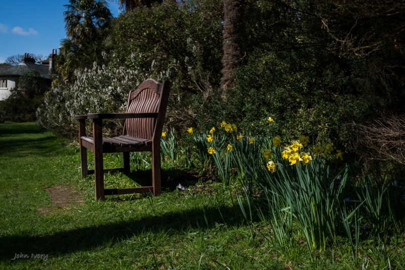 Mount Usher - 15-03-2014 #10