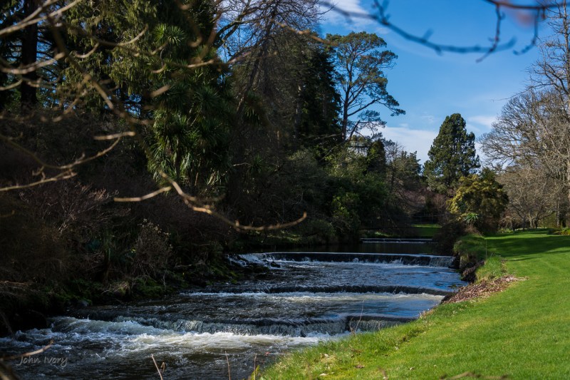 Mount Usher - 15-03-2014 #11