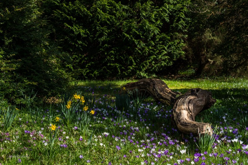 Mount Usher - 15-03-2014 #12