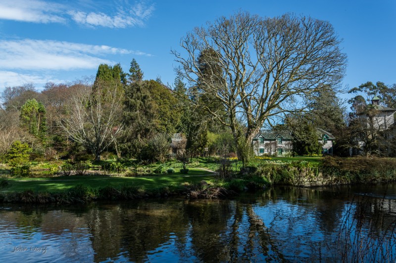 Mount Usher - 15-03-2014 #4
