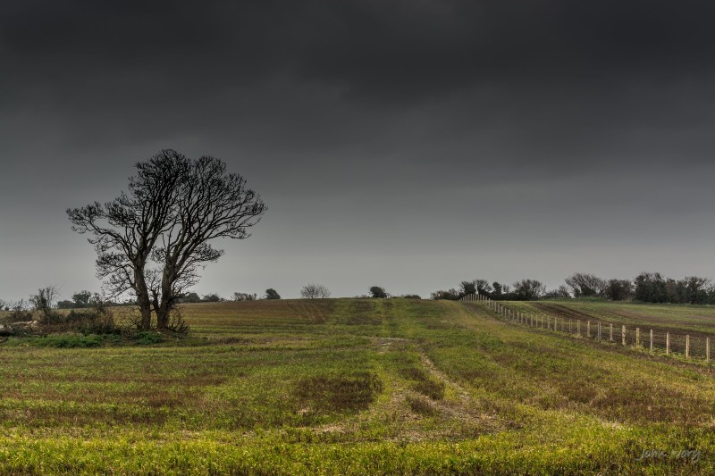 Silver Strand - 08-03-2014