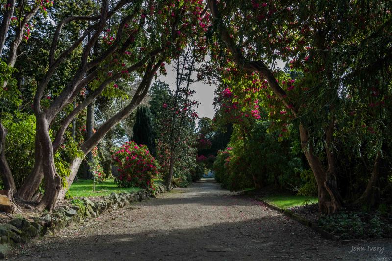 Kilmacurragh - 10-04-2014 #1