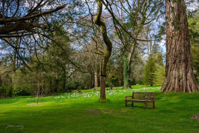 Kilmacurragh - 10-04-2014 #11