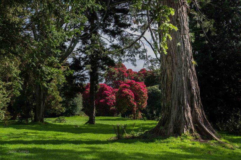 Kilmacurragh - 10-04-2014 #5