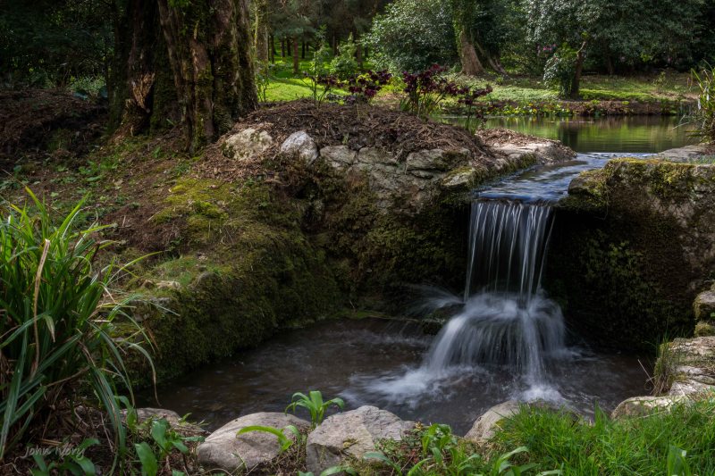 Kilmacurragh - 10-04-2014 #6