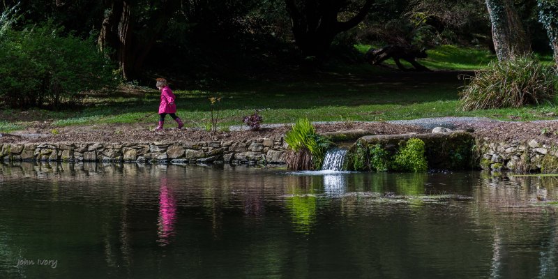 Kilmacurragh - 10-04-2014 #8