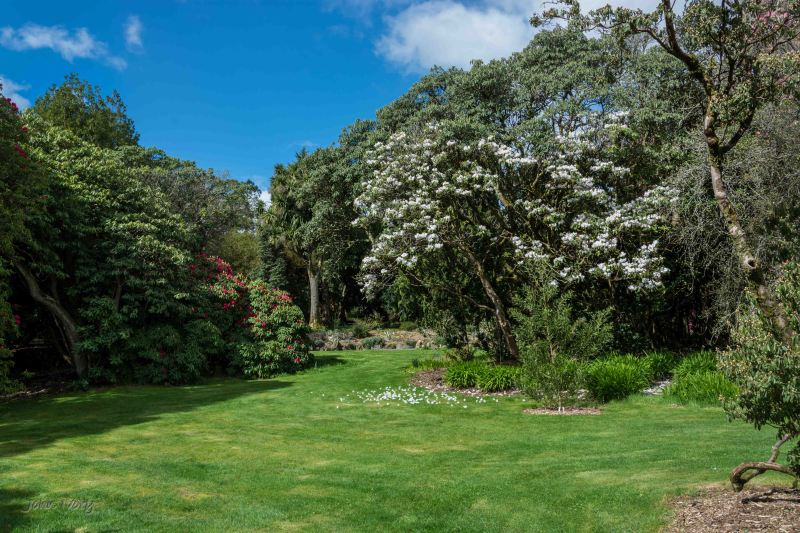 Kilmacurragh - 10-04-2014 #9