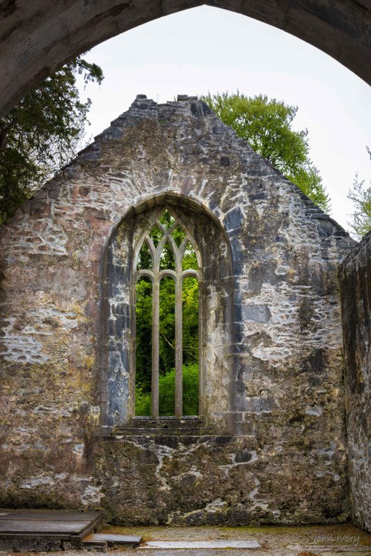 Muckross Abbey - 02-05-2014 #11