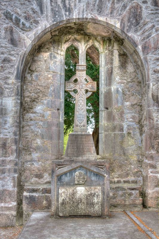 Muckross Abbey - 02-05-2014 #13