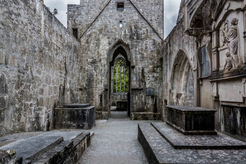 Muckross Abbey - 02-05-2014 #16