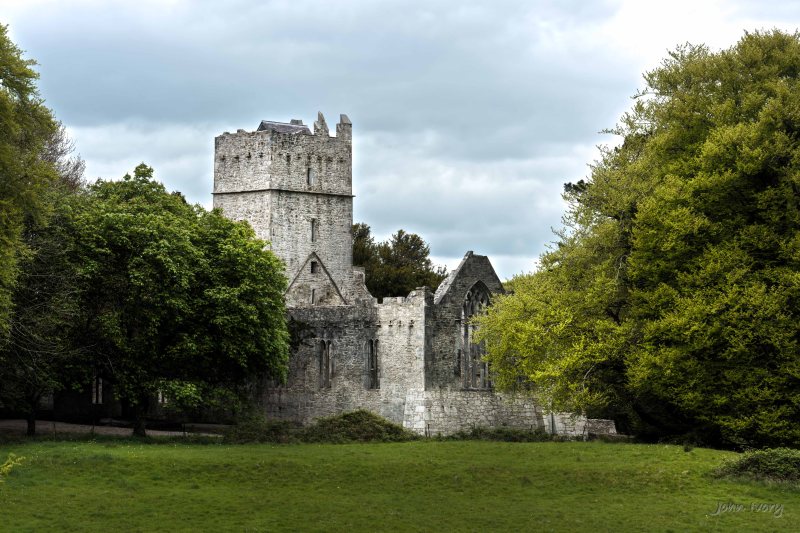 Muckross Abbey - 02-05-2014 #2