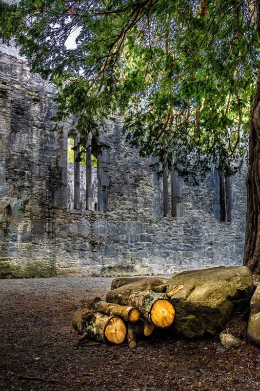 Muckross Abbey - 02-05-2014 #20