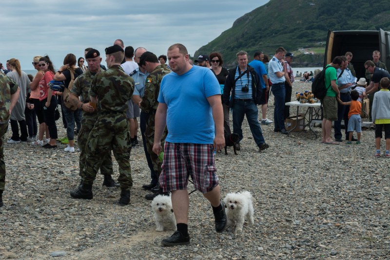 Bray Airshow - 20-07-2014 #16
