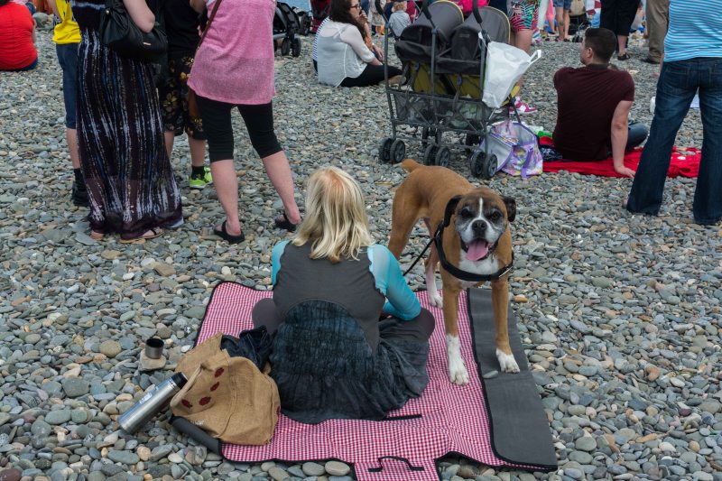 Bray Airshow - 20-07-2014 #40