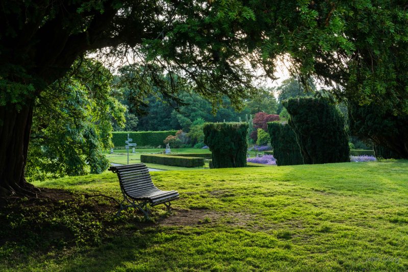 Kilruddery - 17-07-2014 #10