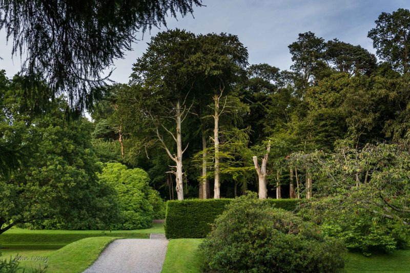 Kilruddery - 17-07-2014 #13