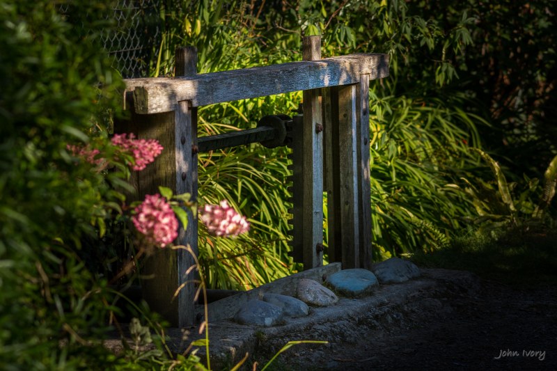 Mount Usher - 07-09-2014 #32