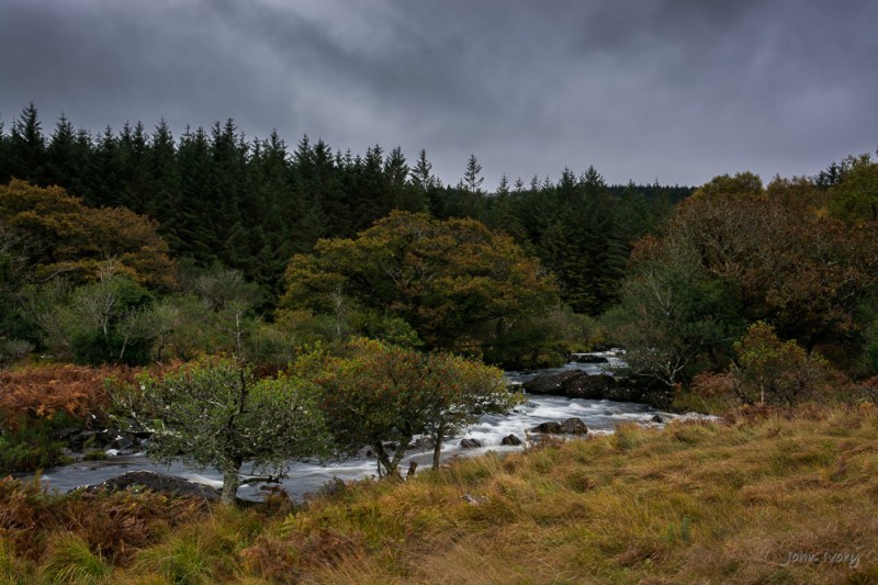 Kerry - Oct 2014 - Final #1