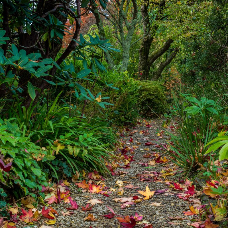 Mount Usher - 23-10-2014 #11