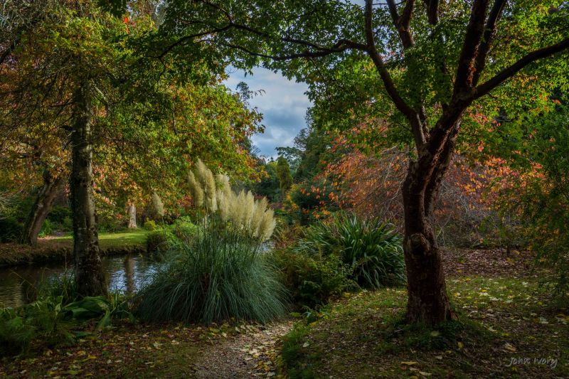 Mount Usher - 23-10-2014 #13