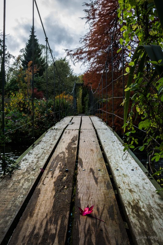 Mount Usher - 23-10-2014 #14