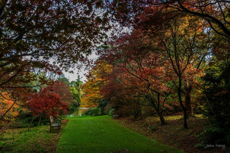 Mount Usher - 23-10-2014 #16