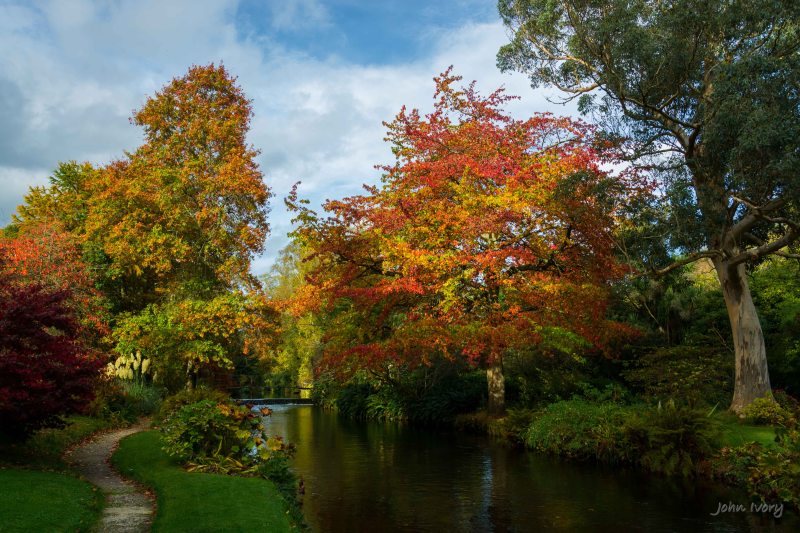 Mount Usher - 23-10-2014 #3