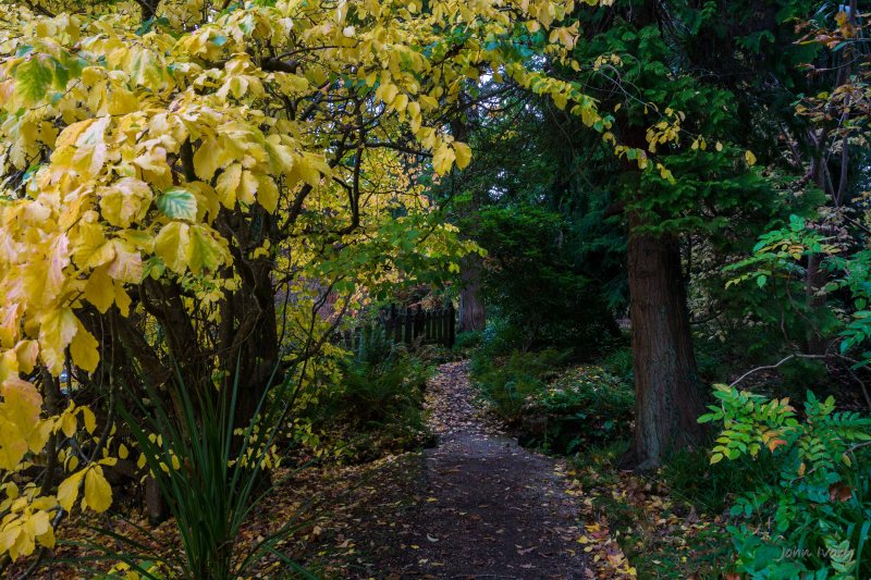 Mount Usher - 23-10-2014 #6