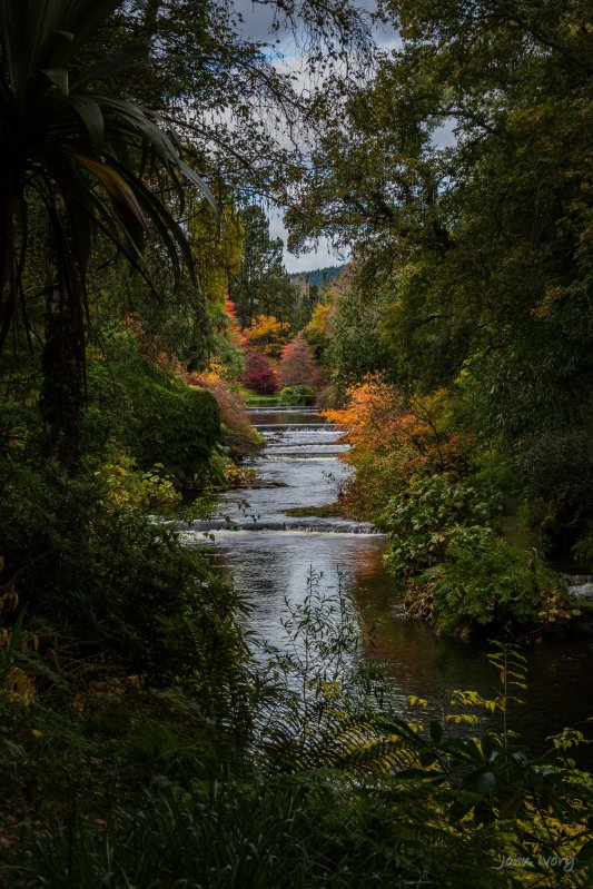 Mount Usher - 23-10-2014 #7