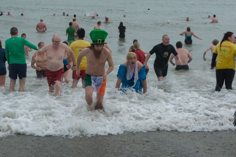 New Year Swim 2015 - 42