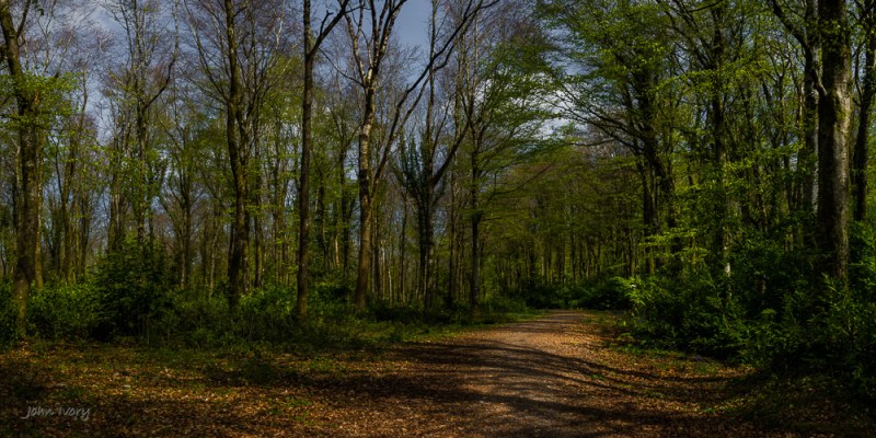 Moore Abbey - 01-05-2015 - #5