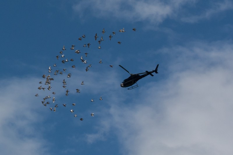 Bray Airshow 2015 - Blog #9